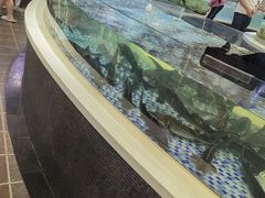 -海鲜码头·中国菜