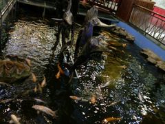 -大天然酒店(军民路店)