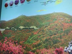 -大围山国家森林公园