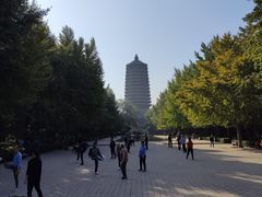 -玲珑塔公园
