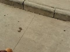 -苏果好的便利(小卫街店)