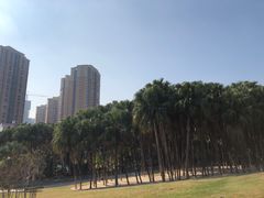 -红花山公园