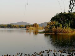 -上海市保健医疗中心(华东疗养院)
