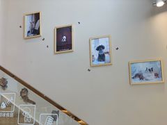 -Pets First伊珊娜洗护·精致美容·家庭式寄养(新会路店)