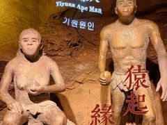 -鲁山国家森林公园