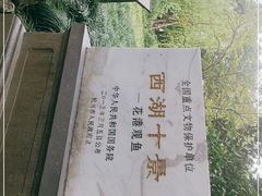 -西湖外事游船(花港观鱼码头)