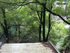 -巴倒烫陆派火锅山庄(南山总店)