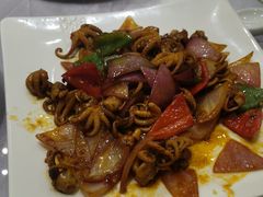 酱爆八爪鱼-宝燕壹号(徐汇店)