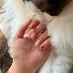 -芊冉•美甲美睫纹绣