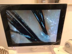 -BULB STUDIO 巴柏明星发型工作室