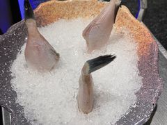 耗儿鱼-王家渡火锅店(亦庄店)