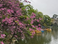 -柳侯公园