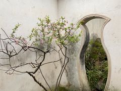 -耦园