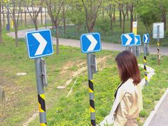 -东郊湿地公园