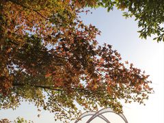 -艾溪湖湿地公园