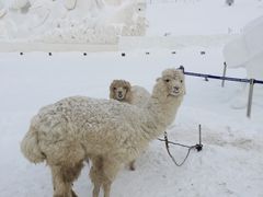 -长白山华美胜地滑雪场