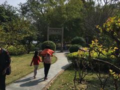-晓港公园