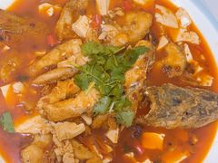 -煲来饱去冷水鱼