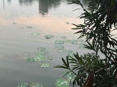 -南通濠河风景名胜区