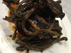 -新聚丰菜馆(太监弄店)