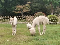 -南山风景名胜区