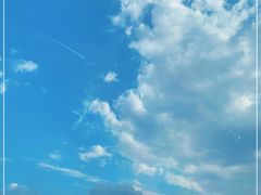 -鹅湖玫瑰文化园