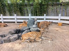 -北京野生动物园