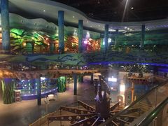 -青岛嘉年华主题乐园