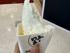 -野人先生Gelato(上海长宁龙之梦店)