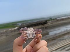 -滴水湖