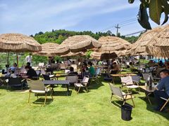 -桃源山庄·水蜜桃采摘·柴火鸡·烧烤团建(龙泉山店)