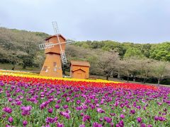 -苏州上方山国家森林公园
