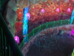 -青岛嘉年华主题乐园