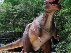 -海合安武汉极地海洋公园