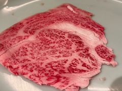 -然锅料理