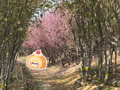 -河北省园博园