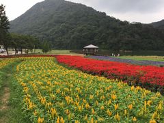 -广州市石门国家森林公园