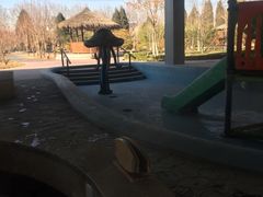 -南宫温泉水世界