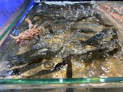 -诱货海鲜自助火锅(爱琴海购物公园东百店)