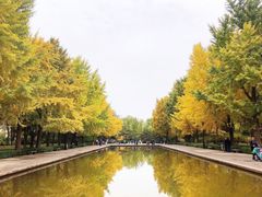 -玲珑塔公园