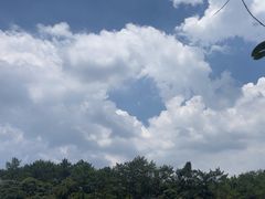 -牛鱼嘴原始生态风景区