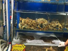 -蚝专家(北滘店)