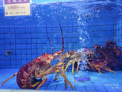 -金悦轩海鲜酒家(南宁店)