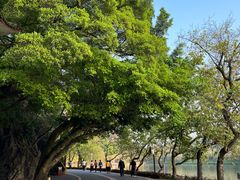 -星湖旅游景区七星岩