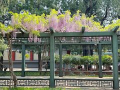 -北京市劳动人民文化宫(太庙)