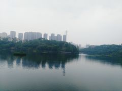 -重庆彩云湖湿地公园