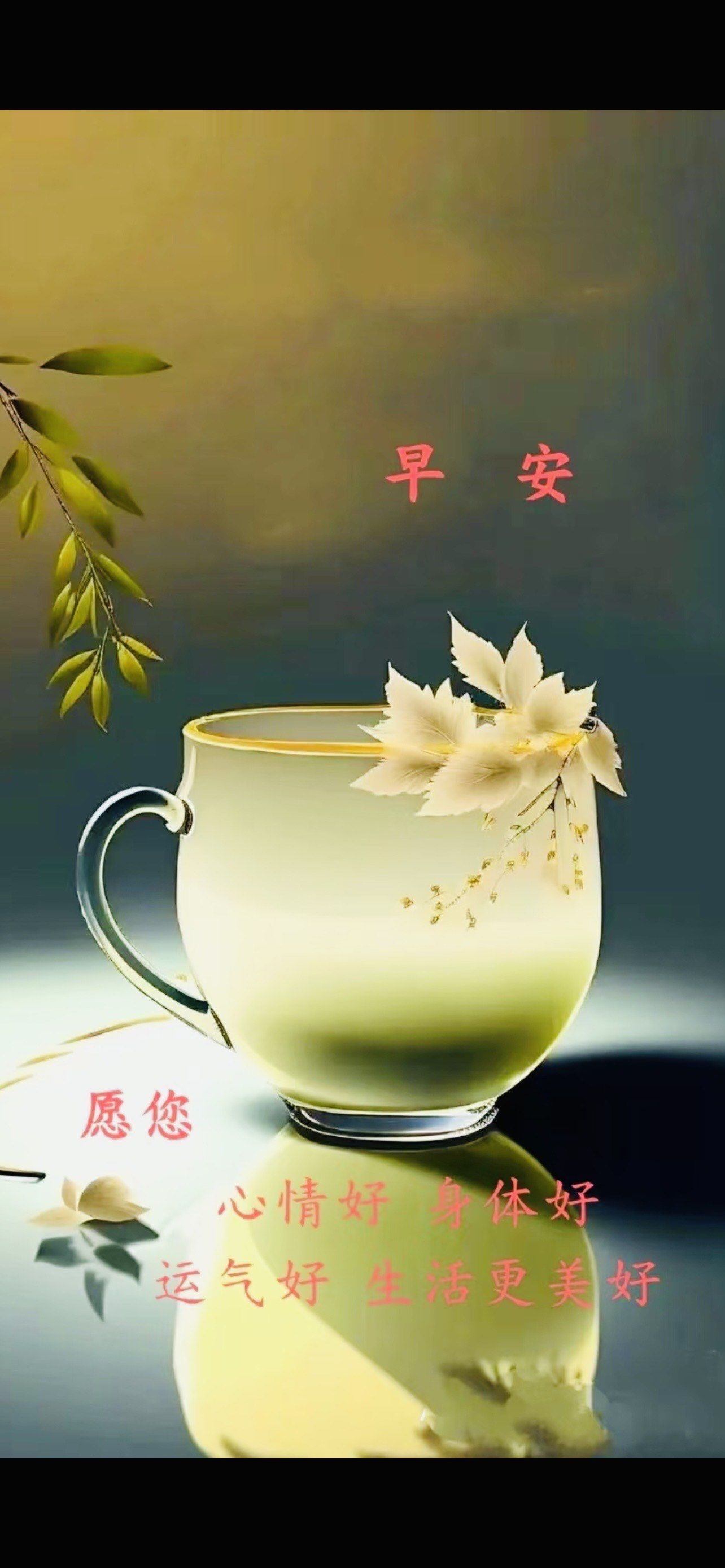 清茶一杯,生活的味道