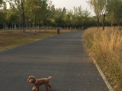 -东郊湿地公园