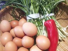 -南山饭店(阳明古镇店)