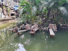 -长鹿旅游休博园